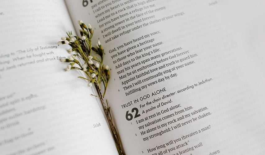 A page of the bible with a plant on it.